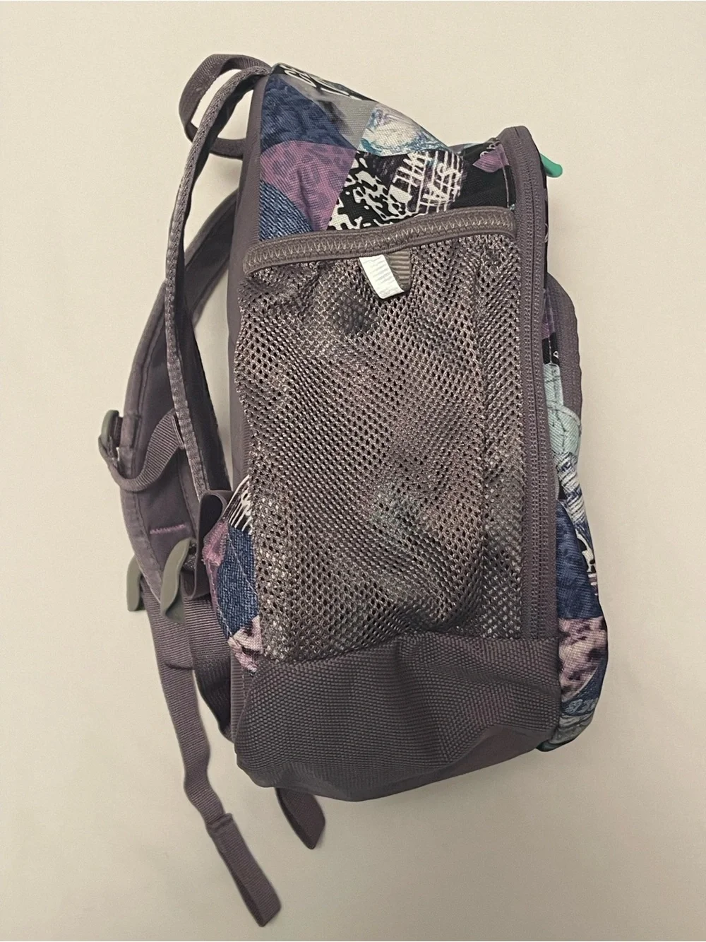 North Face Purple Sprout backpack